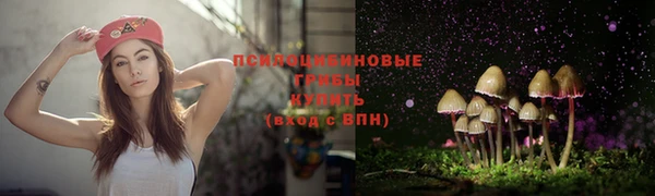 гашик Балахна
