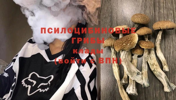 гашик Баксан