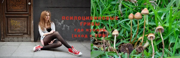 гашик Балахна