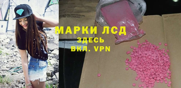 дживик Няндома